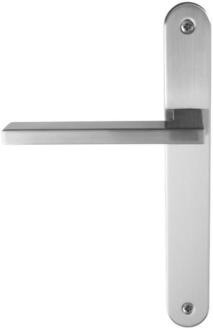 Entrance/Interior Door Handles: Astron Series