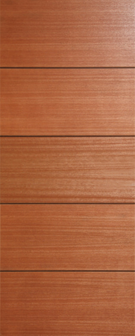 ENTRANCE DOOR: Linear Series